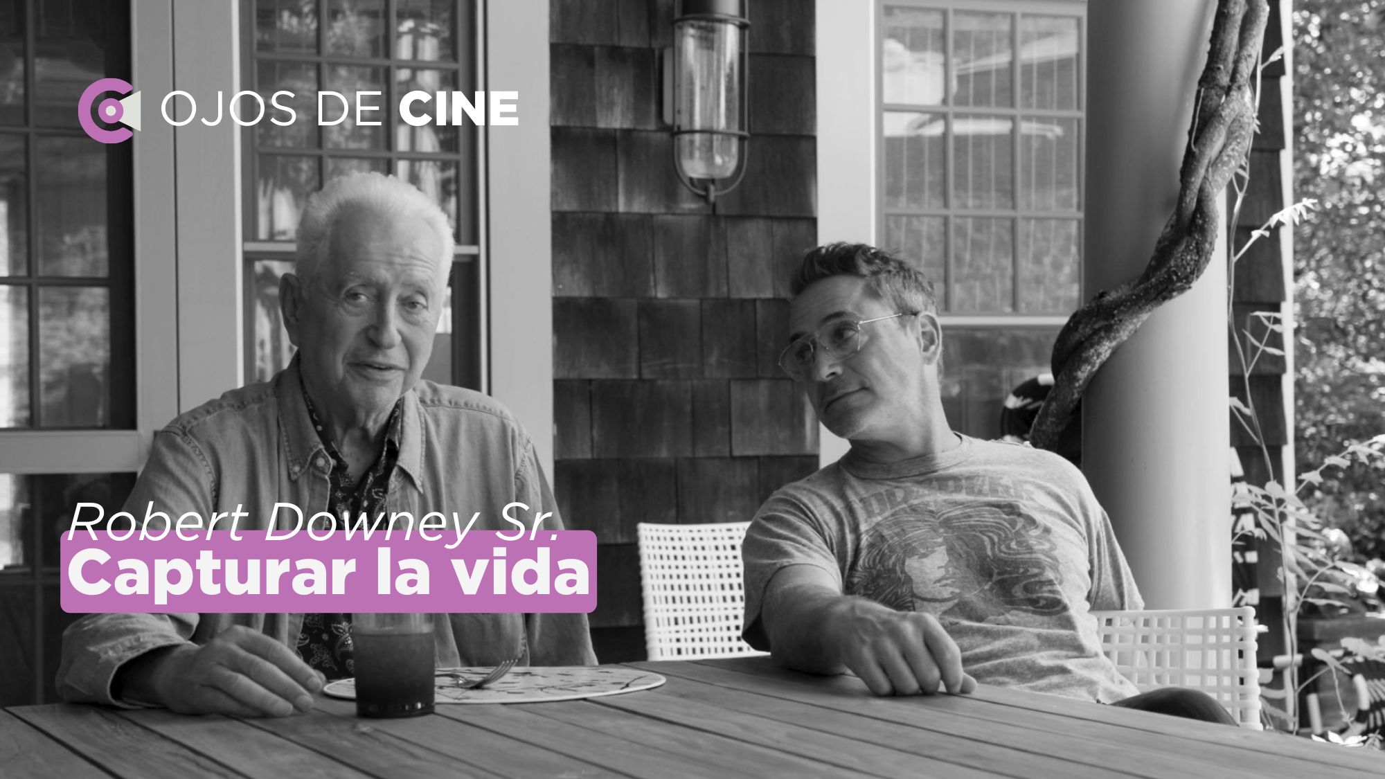 Capturar la vida